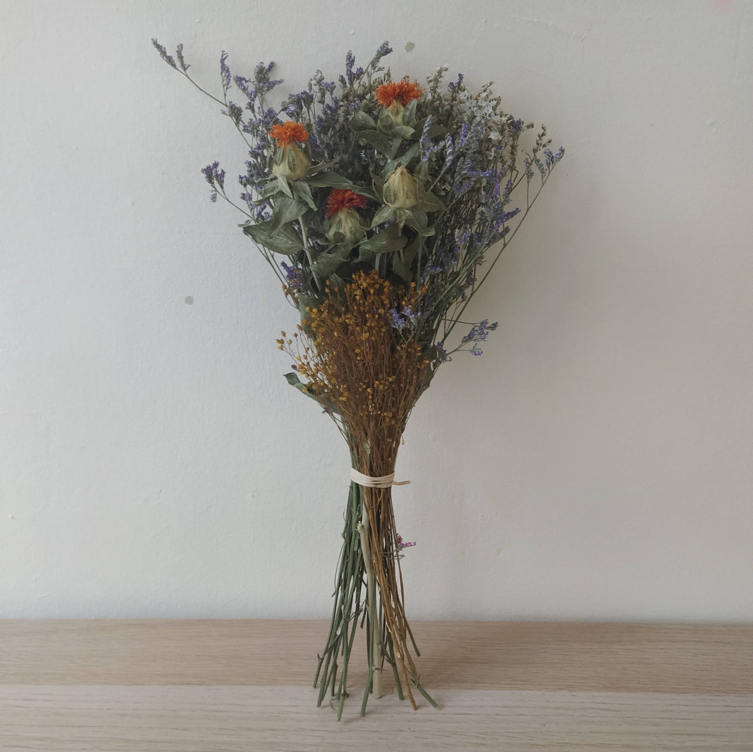 Concari.flores Preservadas - RAMO VARIADO SMALL (PRESERVADO Y SECO)